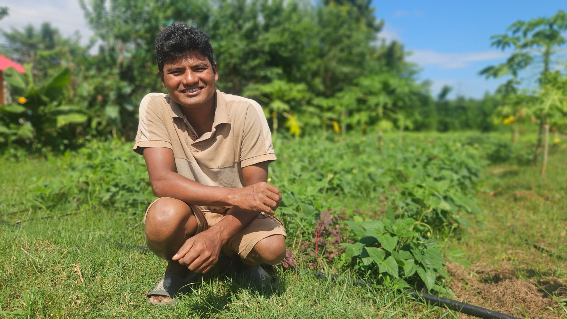 A farmer crouching in the green vegetable fields of Spiral Farm House