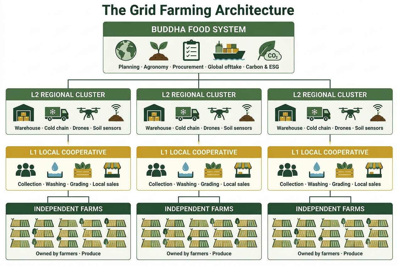 Four-level architecture: Buddha Food System, L2 regional clusters, L1 local cooperatives, independent farms